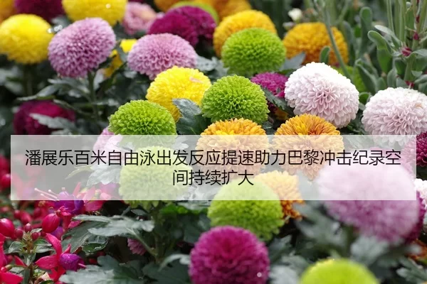 潘展乐百米自由泳出发反应提速助力巴黎冲击纪录空间持续扩大